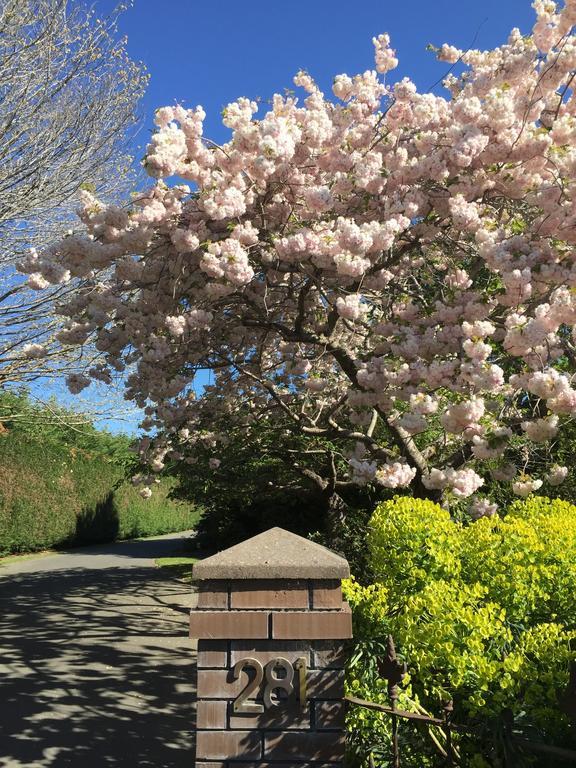 Rhododendron Garden Otel Christchurch Dış mekan fotoğraf