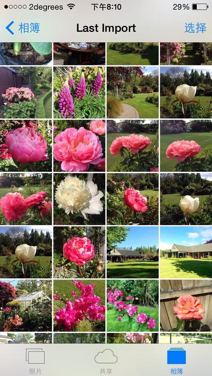 Rhododendron Garden Otel Christchurch Dış mekan fotoğraf