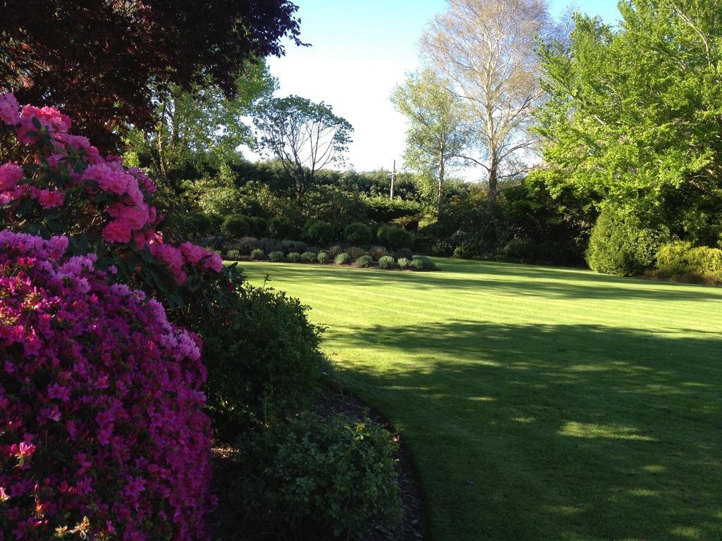 Rhododendron Garden Otel Christchurch Oda fotoğraf