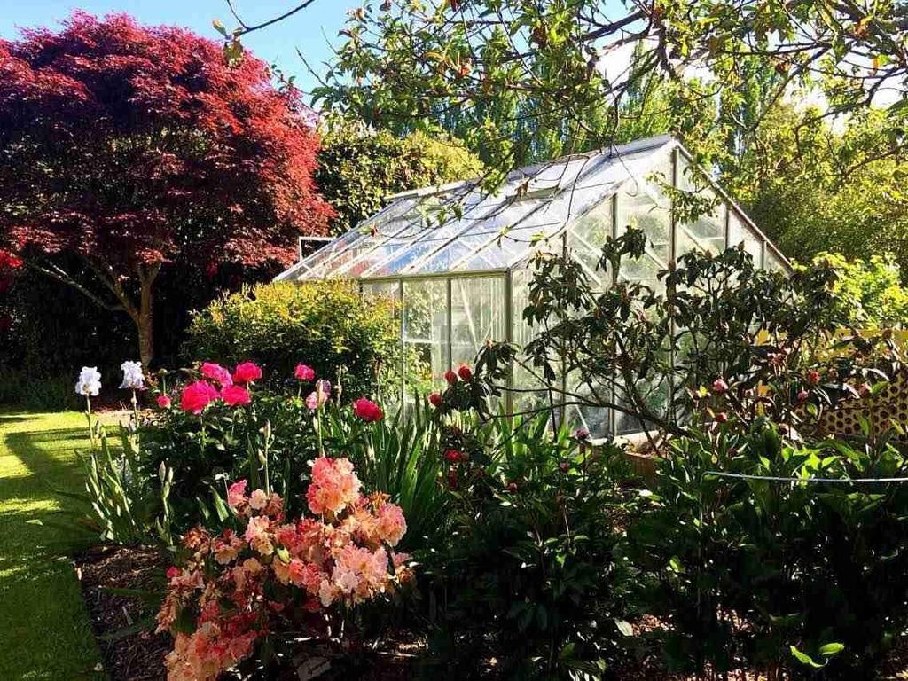 Rhododendron Garden Otel Christchurch Oda fotoğraf