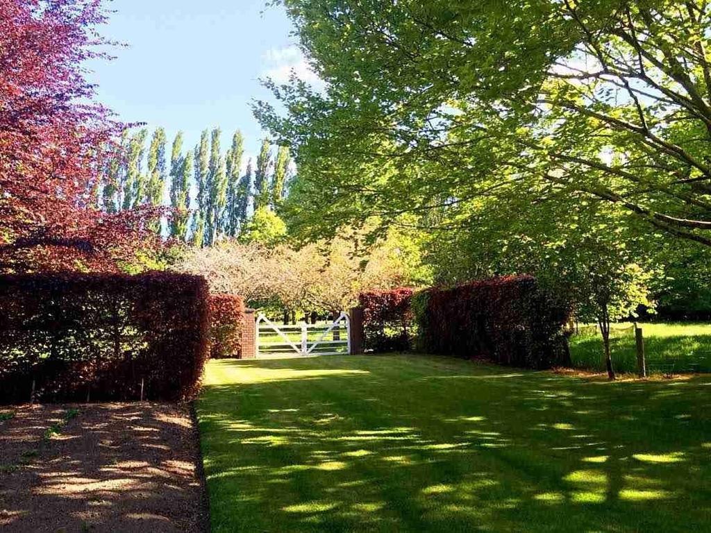 Rhododendron Garden Otel Christchurch Oda fotoğraf