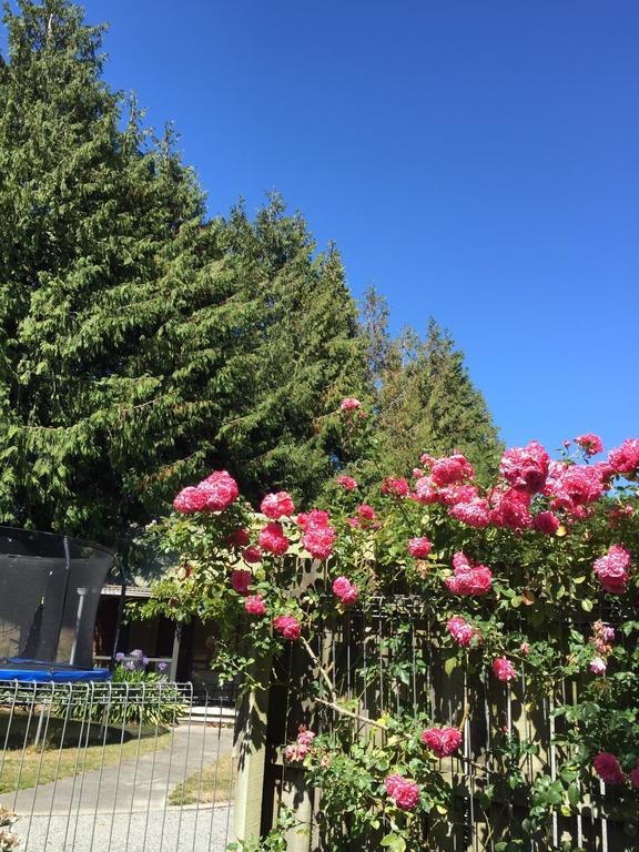 Rhododendron Garden Otel Christchurch Dış mekan fotoğraf