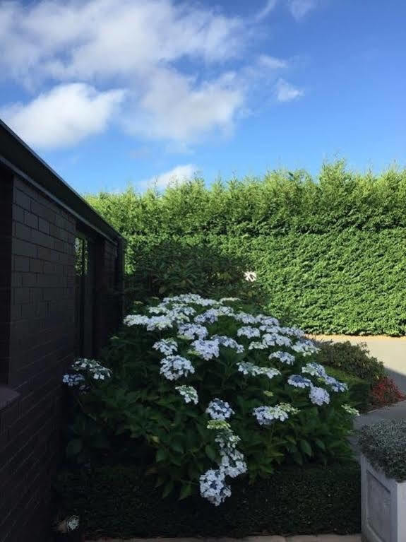 Rhododendron Garden Otel Christchurch Dış mekan fotoğraf